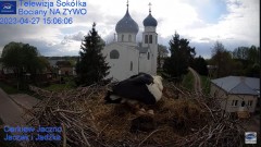 2023-04-27 22_50_13-Gniazdo Bocianie - Telewizja Sokółka [NA ŻYWO] _ IP Camera_ Stork's nest [LIVE] .jpg
