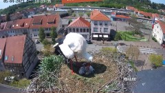 2023-05-04 14_35_07-Ville de Sarralbe _ Webcam Live Cigognes (Sarralbe, Moselle) – Maxthon.jpg