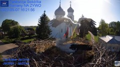 2023-05-07 20_09_58-Gniazdo Bocianie - Telewizja Sokółka [NA ŻYWO] _ IP Camera_ Stork's nest [LIVE] .jpg