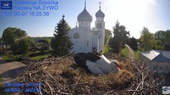 2023-05-07 20_13_31-Gniazdo Bocianie - Telewizja Sokółka [NA ŻYWO] _ IP Camera_ Stork's nest [LIVE] .jpg