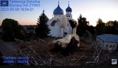 2023-05-09 22_07_55-Gniazdo Bocianie - Telewizja Sokółka [NA ŻYWO] _ IP Camera_ Stork's nest [LIVE] .jpg