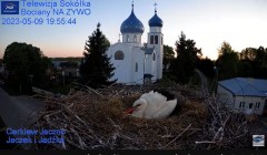 2023-05-09 22_09_15-Gniazdo Bocianie - Telewizja Sokółka [NA ŻYWO] _ IP Camera_ Stork's nest [LIVE] .jpg