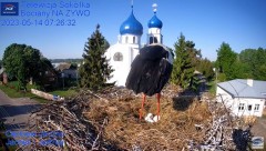 2023-05-14 12_04_14-Gniazdo Bocianie - Telewizja Sokółka [NA ŻYWO] _ IP Camera_ Stork's nest [LIVE] .jpg