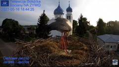 2023-05-16 22_00_57-Gniazdo Bocianie - Telewizja Sokółka [NA ŻYWO] _ IP Camera_ Stork's nest [LIVE] .jpg