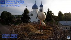 2023-05-16 22_01_39-Gniazdo Bocianie - Telewizja Sokółka [NA ŻYWO] _ IP Camera_ Stork's nest [LIVE] .jpg