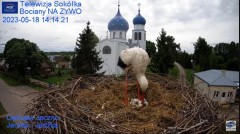 2023-05-18 19_42_25-Gniazdo Bocianie - Telewizja Sokółka [NA ŻYWO] _ IP Camera_ Stork's nest [LIVE] .jpg