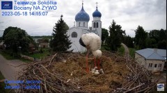 2023-05-18 19_43_11-Gniazdo Bocianie - Telewizja Sokółka [NA ŻYWO] _ IP Camera_ Stork's nest [LIVE] .jpg