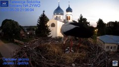 2023-05-20 22_40_38-Gniazdo Bocianie - Telewizja Sokółka [NA ŻYWO] _ IP Camera_ Stork's nest [LIVE] .jpg