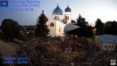 2023-05-20 22_40_43-Gniazdo Bocianie - Telewizja Sokółka [NA ŻYWO] _ IP Camera_ Stork's nest [LIVE] .jpg