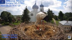 2023-05-22 22_32_29-Gniazdo Bocianie - Telewizja Sokółka [NA ŻYWO] _ IP Camera_ Stork's nest [LIVE] .jpg