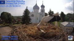 2023-05-25 20_35_11-Gniazdo Bocianie - Telewizja Sokółka [NA ŻYWO] _ IP Camera_ Stork's nest [LIVE] .jpg