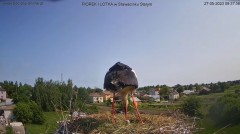 2023-05-27 12_36_12-Bociany Piórek i Lotka w Sławacinku Starym - GNIAZDO - YouTube – Maxthon.jpg