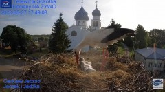 2023-05-27 21_28_56-Gniazdo Bocianie - Telewizja Sokółka [NA ŻYWO] _ IP Camera_ Stork's nest [LIVE] .jpg