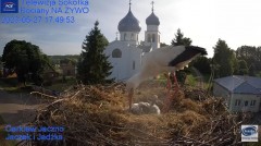 2023-05-27 21_29_48-Gniazdo Bocianie - Telewizja Sokółka [NA ŻYWO] _ IP Camera_ Stork's nest [LIVE] .jpg