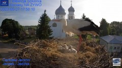 2023-05-27 21_30_04-Gniazdo Bocianie - Telewizja Sokółka [NA ŻYWO] _ IP Camera_ Stork's nest [LIVE] .jpg