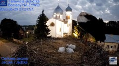 2023-05-29 21_42_50-Gniazdo Bocianie - Telewizja Sokółka [NA ŻYWO] _ IP Camera_ Stork's nest [LIVE] .jpg