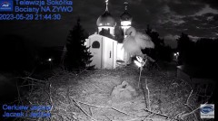 2023-05-29 21_43_58-Gniazdo Bocianie - Telewizja Sokółka [NA ŻYWO] _ IP Camera_ Stork's nest [LIVE] .jpg