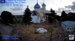 2023-06-01 21_06_42-(2) Gniazdo Bocianie - Telewizja Sokółka [NA ŻYWO] _ IP Camera_ Stork's nest [LI.jpg