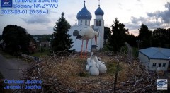 2023-06-01 21_07_12-(2) Gniazdo Bocianie - Telewizja Sokółka [NA ŻYWO] _ IP Camera_ Stork's nest [LI.jpg