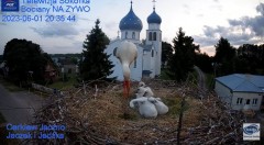 2023-06-01 21_07_15-(2) Gniazdo Bocianie - Telewizja Sokółka [NA ŻYWO] _ IP Camera_ Stork's nest [LI.jpg
