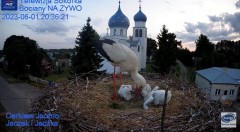 2023-06-01 21_07_49-(2) Gniazdo Bocianie - Telewizja Sokółka [NA ŻYWO] _ IP Camera_ Stork's nest [LI.jpg