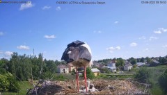 2023-06-03 13_30_20-Bociany online podgląd z kamery na gniazdo bociana – Maxthon.jpg