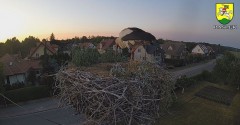 2023-06-04 21_10_32-BOCIANY kamera na żywo z gniazda w Pasłęku – Maxthon.jpg