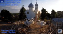 2023-06-07 18_40_46-Gniazdo Bocianie - Telewizja Sokółka [NA ŻYWO] _ IP Camera_ Stork's nest [LIVE] .jpg