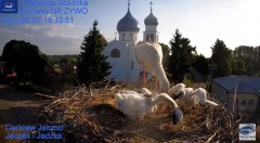 2023-06-07 18_41_14-Gniazdo Bocianie - Telewizja Sokółka [NA ŻYWO] _ IP Camera_ Stork's nest [LIVE] .jpg