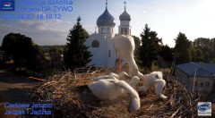 2023-06-07 18_41_33-Gniazdo Bocianie - Telewizja Sokółka [NA ŻYWO] _ IP Camera_ Stork's nest [LIVE] .jpg