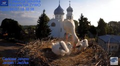 2023-06-07 18_41_58-Gniazdo Bocianie - Telewizja Sokółka [NA ŻYWO] _ IP Camera_ Stork's nest [LIVE] .jpg