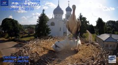 2023-06-08 21_08_18-Gniazdo Bocianie - Telewizja Sokółka [NA ŻYWO] _ IP Camera_ Stork's nest [LIVE] .jpg