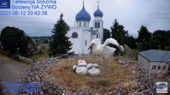 2023-06-12 20_42_01-Gniazdo Bocianie - Telewizja Sokółka [NA ŻYWO] _ IP Camera_ Stork's nest [LIVE] .jpg