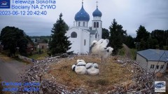 2023-06-12 20_42_08-Gniazdo Bocianie - Telewizja Sokółka [NA ŻYWO] _ IP Camera_ Stork's nest [LIVE] .jpg