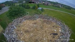 2023-06-13 22_18_45-Projekt Sąsiad Bocian - transmisja na żywo znad gniazda bociana białego w Woli Z.jpg