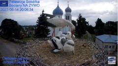 2023-06-14 22_06_35-(2) Gniazdo Bocianie - Telewizja Sokółka [NA ŻYWO] _ IP Camera_ Stork's nest [LI.jpg