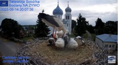 2023-06-14 22_07_42-(2) Gniazdo Bocianie - Telewizja Sokółka [NA ŻYWO] _ IP Camera_ Stork's nest [LI.jpg