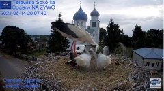 2023-06-14 22_07_46-(2) Gniazdo Bocianie - Telewizja Sokółka [NA ŻYWO] _ IP Camera_ Stork's nest [LI.jpg