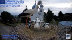 2023-06-14 22_08_01-(2) Gniazdo Bocianie - Telewizja Sokółka [NA ŻYWO] _ IP Camera_ Stork's nest [LI.jpg