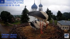 2023-06-18 19_55_13-Gniazdo Bocianie - Telewizja Sokółka [NA ŻYWO] _ IP Camera_ Stork's nest [LIVE] .jpg