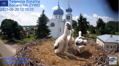 2023-06-20 18_47_18-(1) Gniazdo Bocianie - Telewizja Sokółka [NA ŻYWO] _ IP Camera_ Stork's nest [LI.jpg