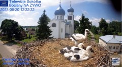 2023-06-20 18_48_02-Gniazdo Bocianie - Telewizja Sokółka [NA ŻYWO] _ IP Camera_ Stork's nest [LIVE] .jpg