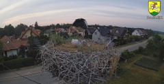 2023-06-20 21_23_57-BOCIANY kamera na żywo z gniazda w Pasłęku – Maxthon.jpg