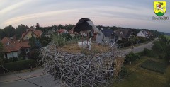 2023-06-20 21_24_39-BOCIANY kamera na żywo z gniazda w Pasłęku – Maxthon.jpg