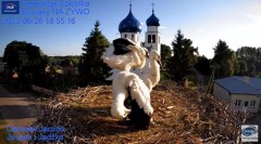 2023-06-26 21_57_43-(2) Gniazdo Bocianie - Telewizja Sokółka [NA ŻYWO] _ IP Camera_ Stork's nest [LI.jpg