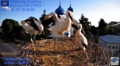 2023-06-26 21_58_11-(2) Gniazdo Bocianie - Telewizja Sokółka [NA ŻYWO] _ IP Camera_ Stork's nest [LI.jpg