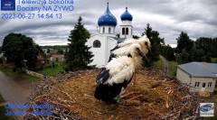 2023-06-27 21_39_00-Gniazdo Bocianie - Telewizja Sokółka [NA ŻYWO] _ IP Camera_ Stork's nest [LIVE] .jpg
