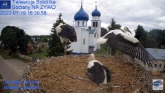 2023-07-19 23_40_49-(1) Gniazdo Bocianie - Telewizja Sokółka [NA ŻYWO] _ IP Camera_ Stork's nest [LI.jpg