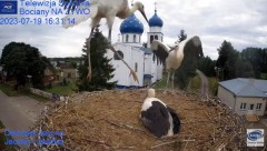 2023-07-19 23_41_11-(1) Gniazdo Bocianie - Telewizja Sokółka [NA ŻYWO] _ IP Camera_ Stork's nest [LI.jpg