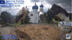 2023-07-20 20_56_02-Gniazdo Bocianie - Telewizja Sokółka [NA ŻYWO] _ IP Camera_ Stork's nest [LIVE] .jpg